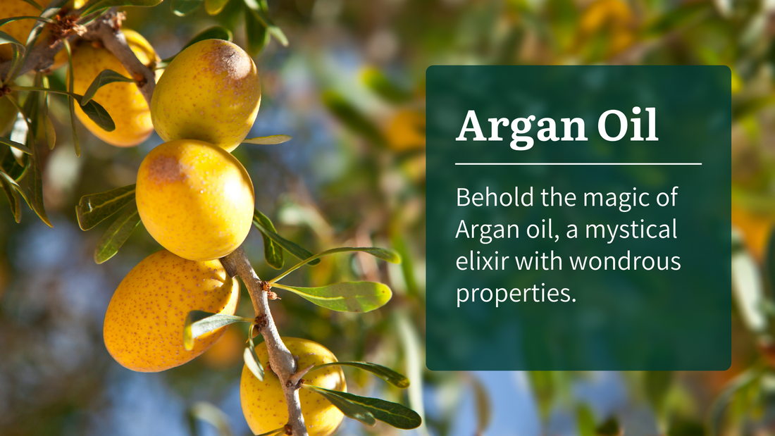 Top Benefits of Argan Oil in Skincare - Aromanesque