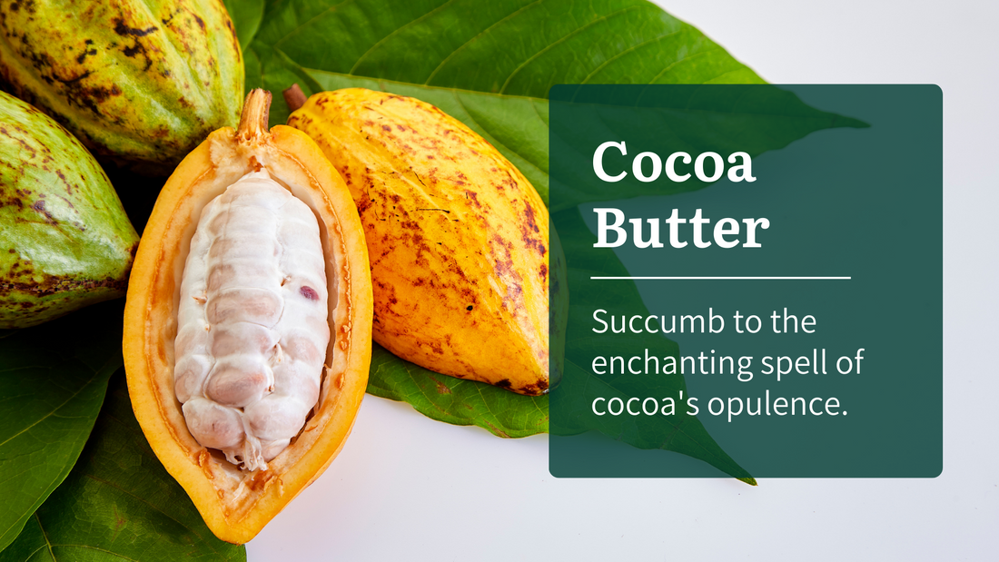 The Most Amazing Benefits of Cocoa Butter for Skin - Aromanesque