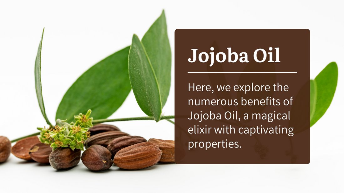 A Luxurious Guide to Jojoba Oil: Unlocking its Natural Skin Benefits | Aromanesque